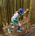 レースイメージ