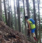 レースイメージ